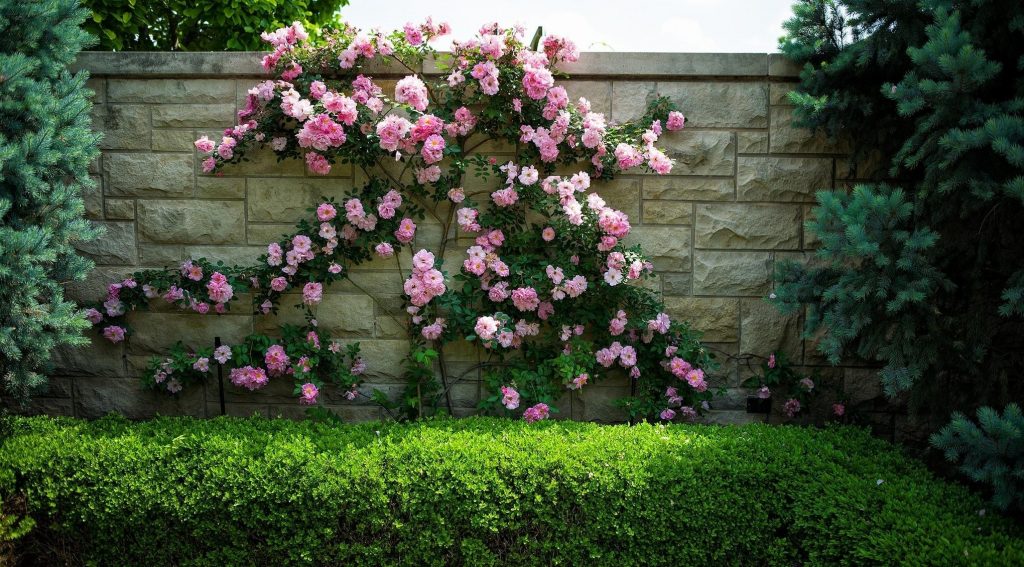 Inžinjerima hortikulture i pejzažne struke omogućeno polaganje stručnog ispita u FBiH